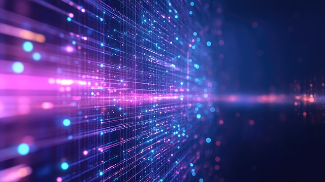 Terms and Conditions